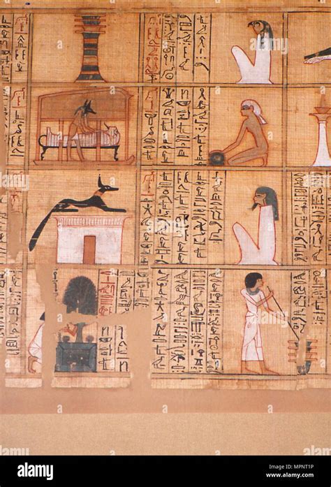 Il Papiro Imbalsamazione Anubis Antica Egiziana C10th Secolo Ac