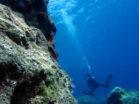 Dive In History Amphorae Fields In Kas Turkey World Adventure Divers