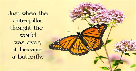 Gods Butterfly Poem