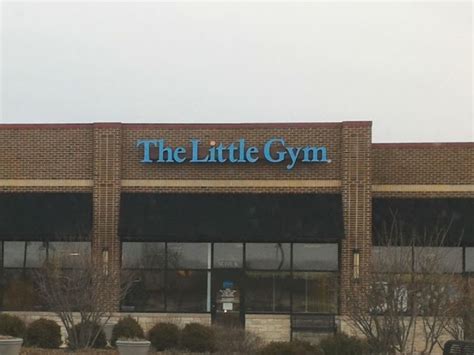 Rest assured as kids run wild in the gym and trained instructors take care of the festivities. The Little Gym of Champaign Seeks New Owner | ChambanaMoms.com