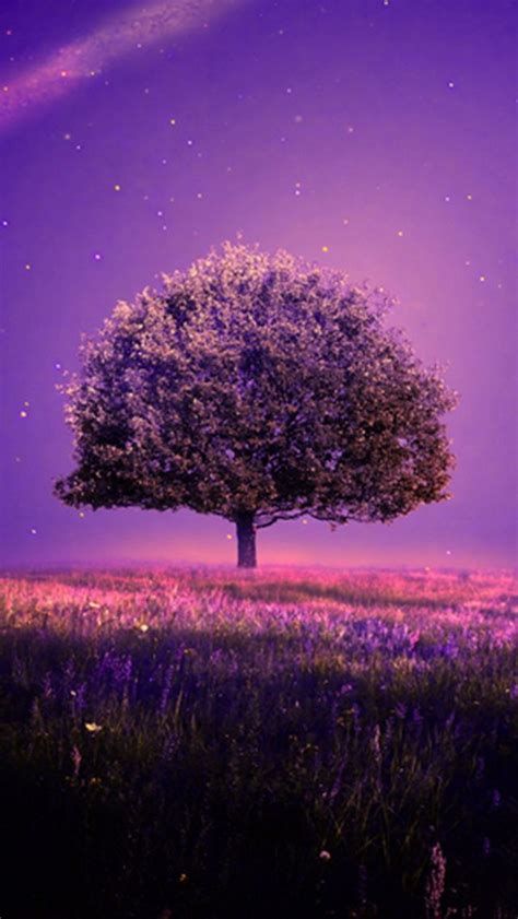 Maybe you would like to learn more about one of these? TREE, IPHONE WALLPAPER BACKGROUND | Beautiful wallpapers ...