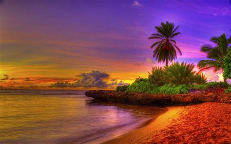 Download Tropical Beach Image Beautiful Sunset By Dstewart Tropical Beach Background