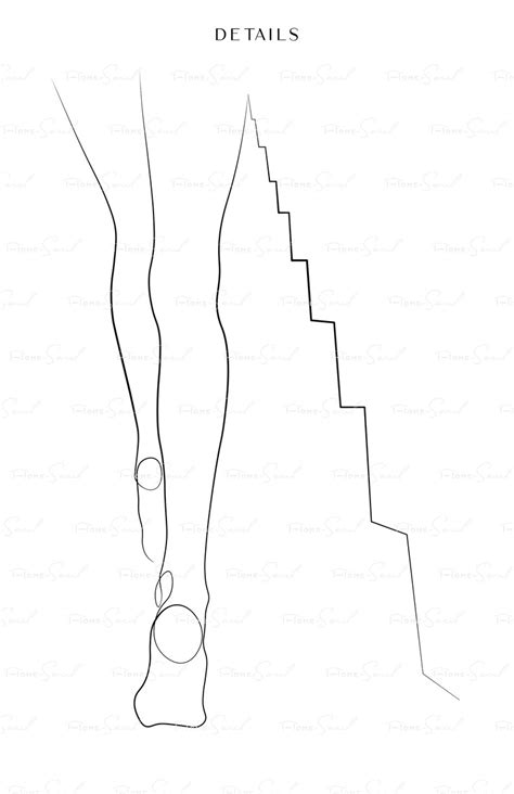Erotic Line Female Feet Art Sexy Nude Line Drawing Naked Etsy Finland