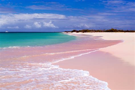 Best Things To Do In Barbuda What Is Barbuda Most Famous For Go