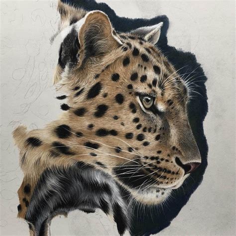 Painted signs may be organized into four groups: Color Pencil Wild Animal Drawings | Animal drawings, Wild animals drawing, African art paintings
