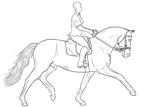 Find the best horse coloring pages for kids & for adults, print 🖨️ and color ️ 194 horse coloring pages ️ for free from our coloring book 📚. Dressage Horse Coloring Pages Coloring Pages