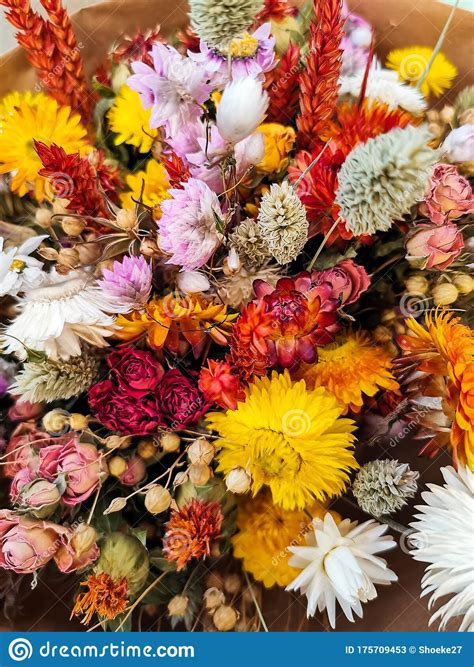 Petal bases may have red dots. Vibrant Dried Flower Bouquet In Red And Yellow Stock Image ...