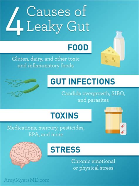 9 Symptoms Of Leaky Gut And How To Heal Amy Myers Md ® Leaky Gut