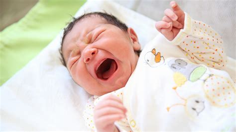 Stressed Babies May Feel More Pain Than They Show News The Times