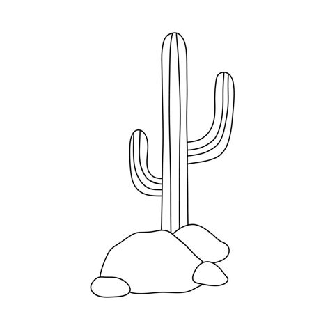Cactus Outline Drawing Vector Line Illustration Isolated On White For
