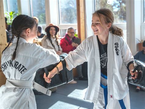 Beginner Karate Classes Enshin Karate Crestone