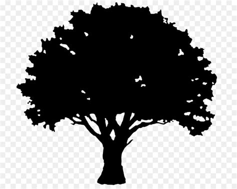 Free Oak Tree Silhouette Vector Download Free Oak Tree Silhouette