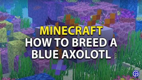 Minecraft Axolotl Colors Blue Summon Selected Colored Axolotl Pink