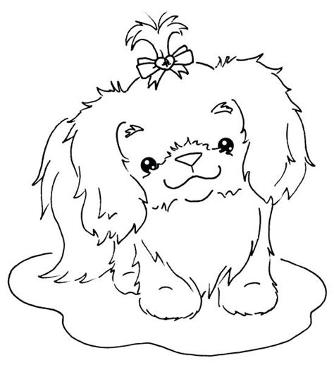 Shih Tzu Coloring Page at GetColorings.com | Free printable colorings