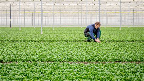 The Device That Reverses Co2 Emissions Bbc Future