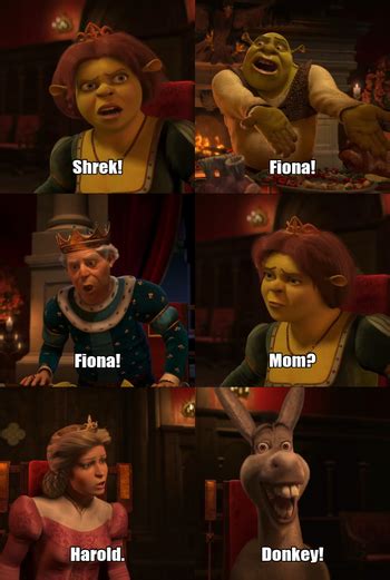 22 Shrek 2 Fiona Turns Human