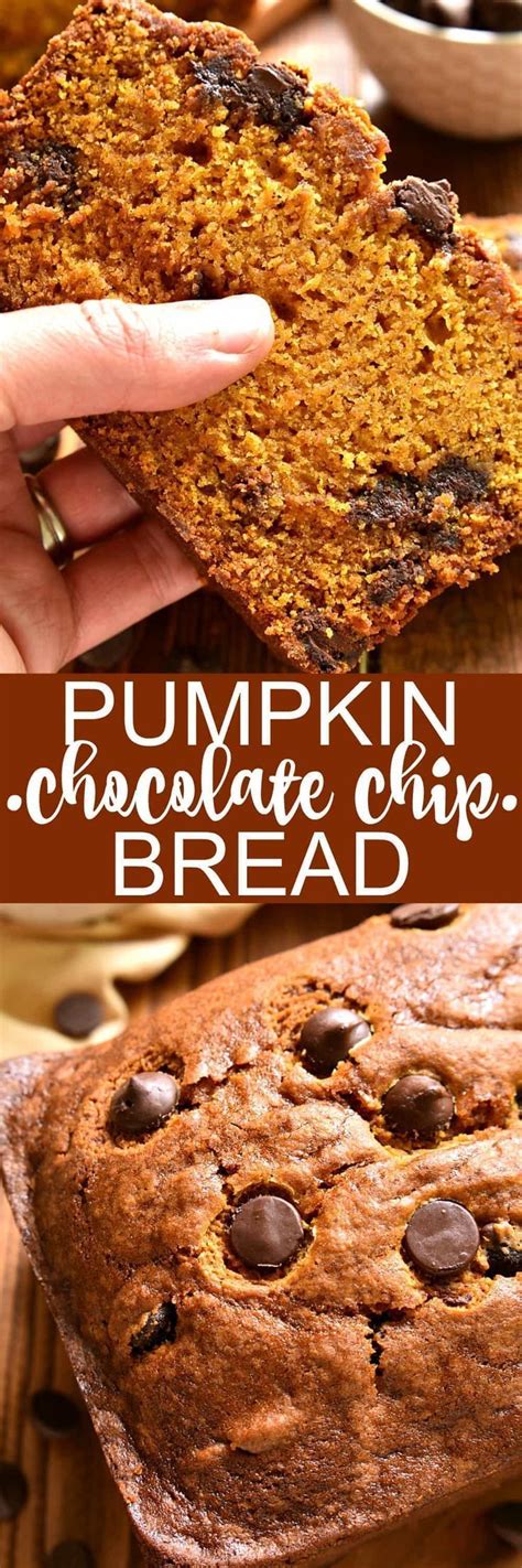 It is delicious on its own or with chocolate chips, and for extra chocolate taste add the chocolate glaze makes this pumpkin bread a rich dessert. The BEST pumpkin bread, loaded with chocolate chips and ...