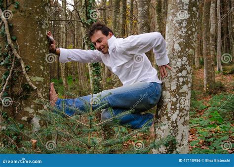 Man Climbing On A Tree Stock Photo Image Of Climb Smiley 47118956