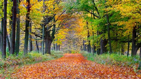 8 Places To See Fall Foliage In Massachusetts