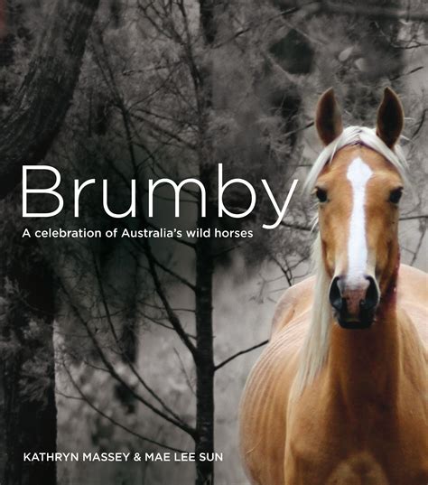 Brumby A Celebration Of Australias Wild Horses Au In