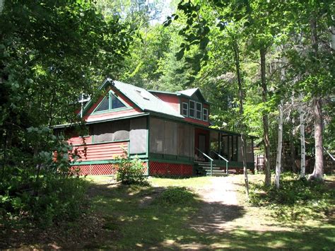 It is up to the comfort level of each dog owner. Pet-Friendly Cabin near Lyon Mountain, New York