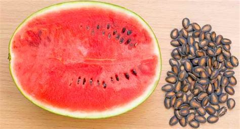 Watermelon Seeds Know The Many Health Benefits Of It Read Health Related Blogs Articles