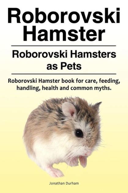 Roborovski Hamster Roborovski Hamsters As Pets Roborovski Hamster