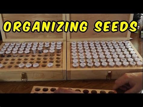 A seed bank (also seedbank or seeds bank) stores seeds to preserve genetic diversity; How To Store And Organize Your Seed Collection - YouTube