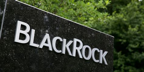 Blackrock Hires New Esg Head In Reshuffle