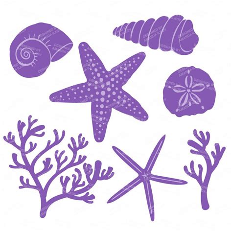 Premium Vector Seashells Clipart In Crocus Purple Seashells Etsy