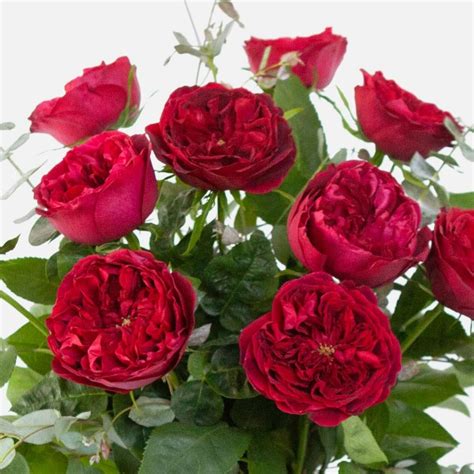 Red Garden Rose Bouquet Flower Delivery Nyc