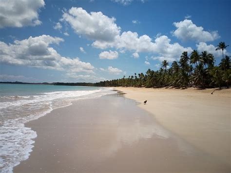 Playa Coson Las Terrenas 2021 Qué Saber Antes De Ir Lo Más