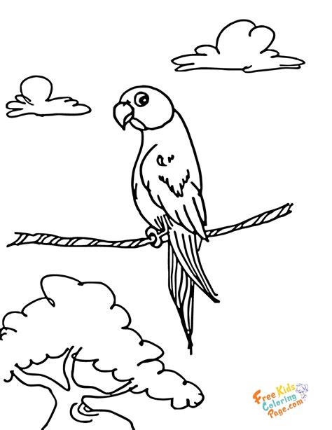 Print Out Bird Parrots Coloring Pages For Childrensfree Printable