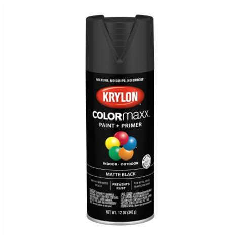 Krylon Colormaxx Matte Black Indooroutdoor Spray Paint Primer 12