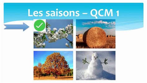 The Seasons In French Mcq1 Les Saisons En Français Qcm1 Youtube