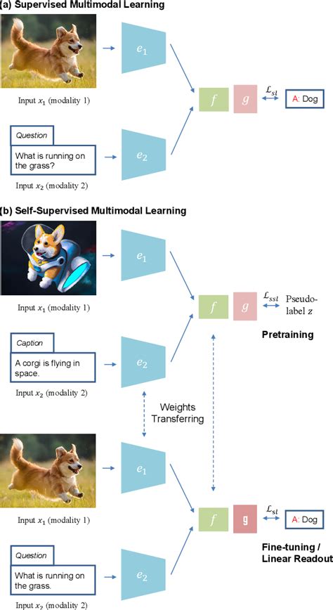 Figure 1 From Self Supervised Multimodal Learning A Survey Semantic