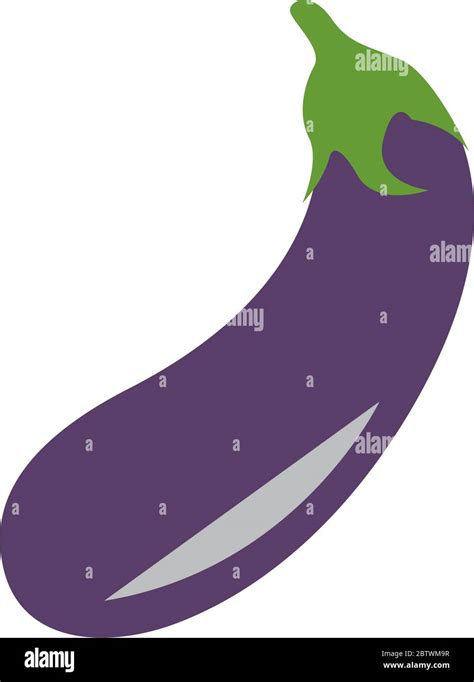 Eggplant Graphic Design Template Vector Isolated Stock Vector Image