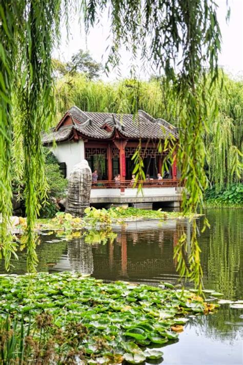 Chinese Friendship Garden In Sydney