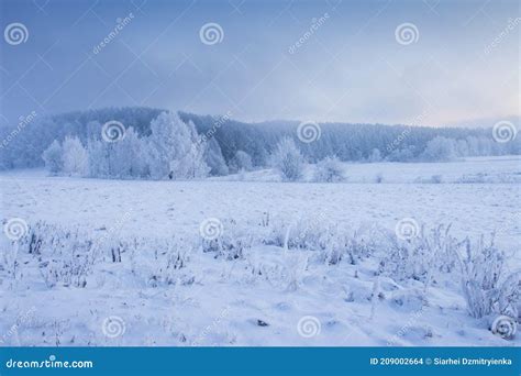 Winter Snowy Field White Scenic Nature Landscape Land Covered By Snow