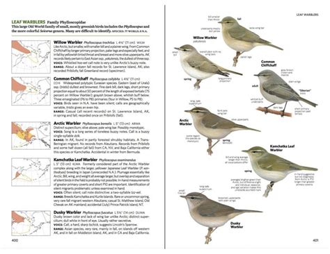 National Geographic Field Guide To The Birds Of North America NHBS Field Guides Natural History