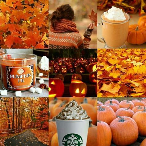 Pumpkins And Coffee Autumn Aesthetic Tumblr Autumn Aesthetic Fall
