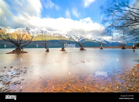 The Famous Willow Trees Of Glenorchy New Zealand Stock Photo Alamy