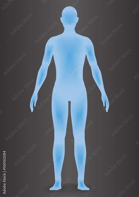 Human Body Silhouette Vector Illustration Stock Vector Adobe Stock