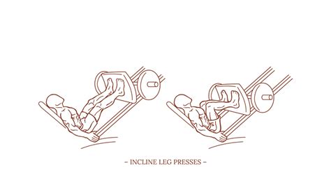 Incline Leg Presses Illustration Michael Loehr