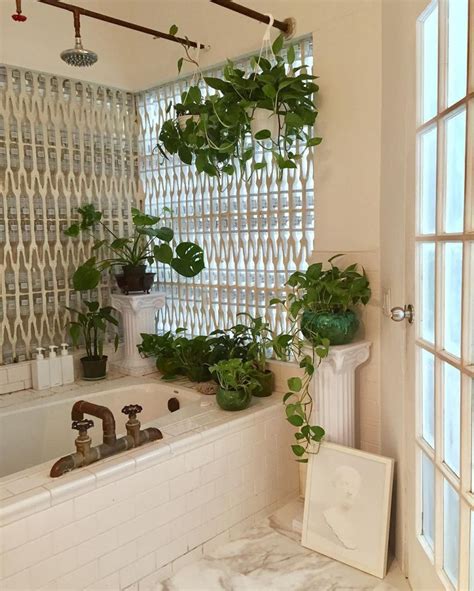 The Bathroom Is Decorated In White And Has Potted Plants
