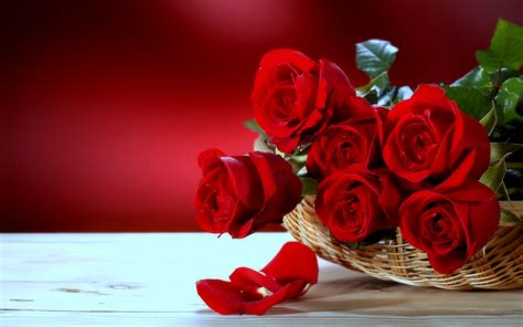 Download Red Roses Desktop Flowers Wallpaper Most Beautiful Love