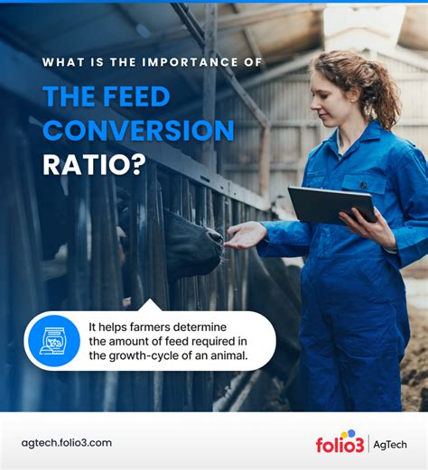 Why Feed Conversion Ratio Is Important FCRs And Factors Effect On FCR 2022
