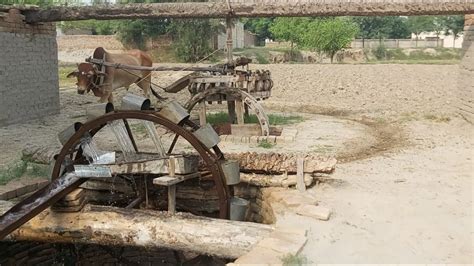 Rahatpersian Wheelpunjabs Old Irrigation Systemancient Irrigation