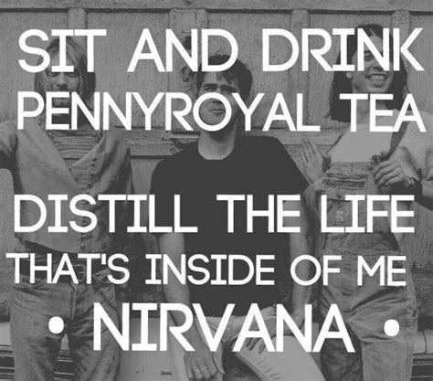 Pennyroyal Tea Nirvana Nirvana Quotes Lyrics Nirvana Lyrics