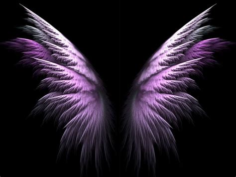 70 Angel Wings Background Wallpapersafari